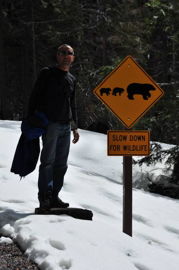 Ursos, só vimos nas placas do Sequoia National Park, na Califórnia - EUA